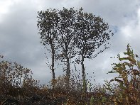 nte Fontane-201011128 040